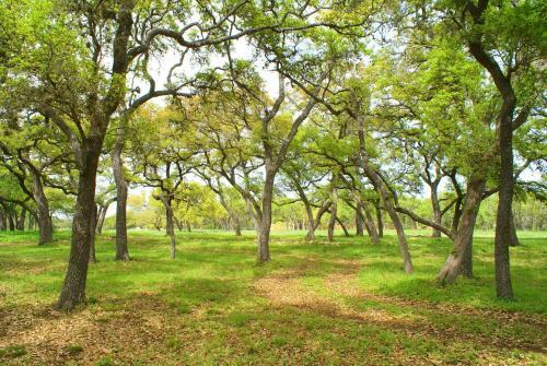 The Ranch At Wimberley-entire Property