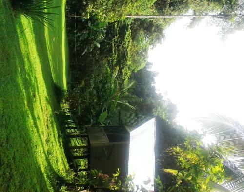 Lodge Estaci�n Biol�gica Tamandua