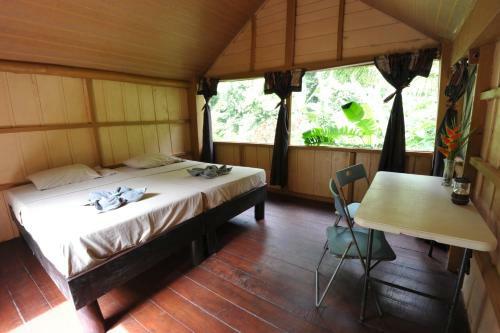Lodge Estaci�n Biol�gica Tamandua