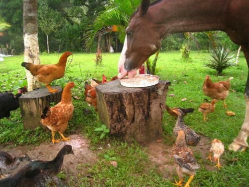 Agroturismo Casa Peque�a