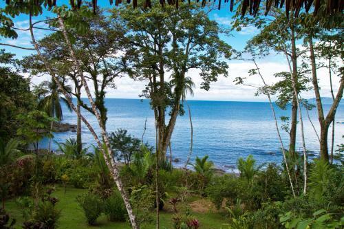 Hotel Copa De Arbol Beach & Rainforest Resort