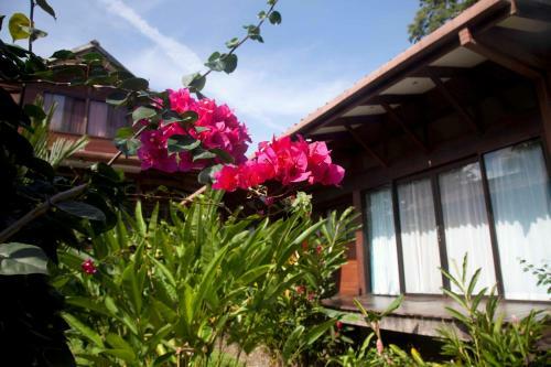 Kenaki Lodge