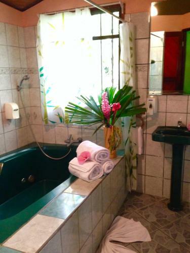 Bed & Breakfast Hotel La Diosa