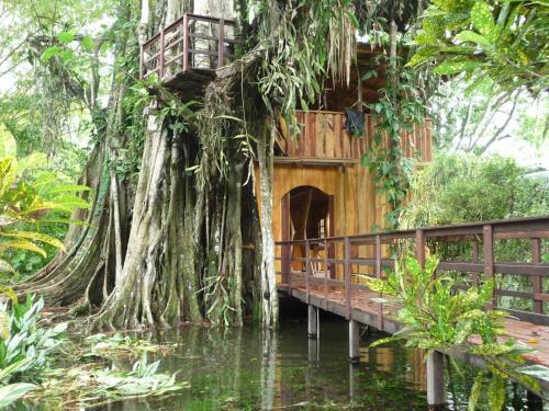 Topos Tree House