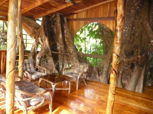 Topos Tree House