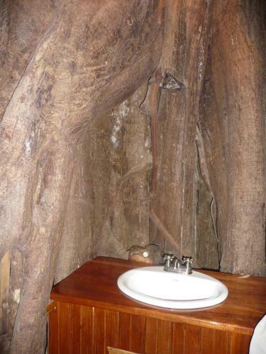 Topos Tree House