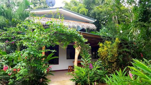 Lodge 3 Bamboo