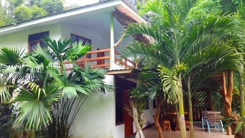 Lodge 3 Bamboo