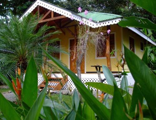 Ciudad Perdida Ecolodge