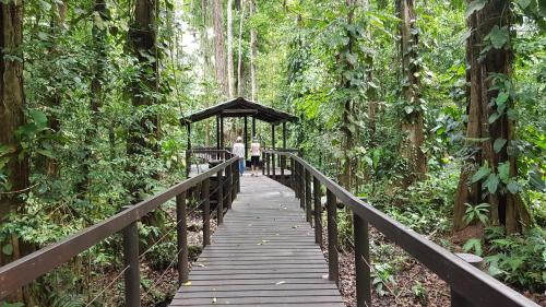 Ciudad Perdida Ecolodge