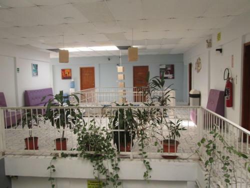 Hotel Marsol
