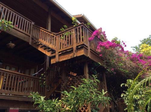 Hotel Sea Breeze Inn