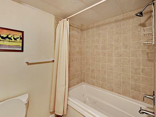 693 Reems Creek Home Home