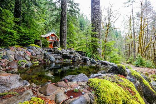 Swedish Stuga Vacation Rental