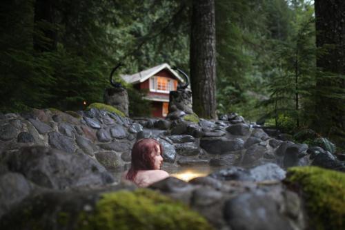 Swedish Stuga Vacation Rental