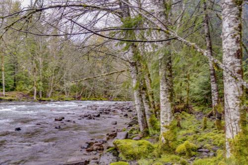 Hunter's Haven