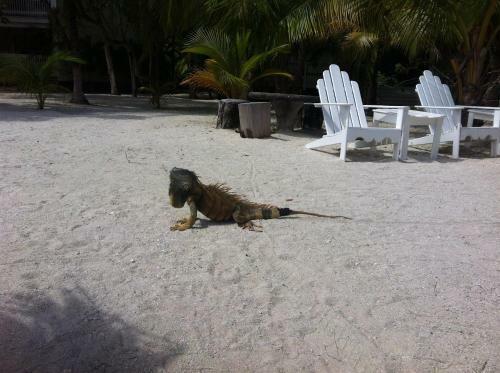 Hotel Fantasy Island Beach Resort, Dive & Marina