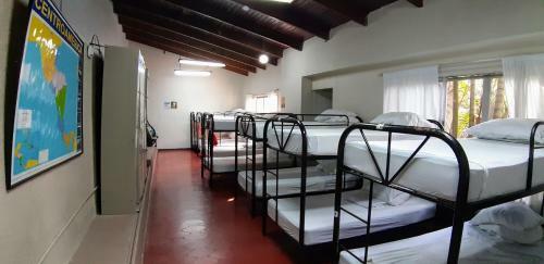 Palmira Hostel
