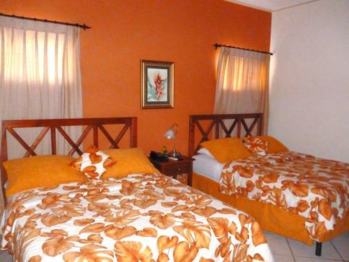 Hotel Hostal Green Frog