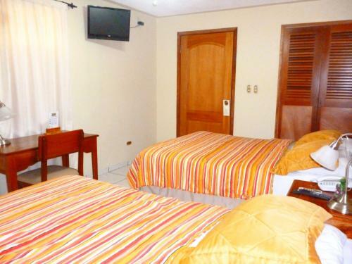 Hotel Hostal Green Frog