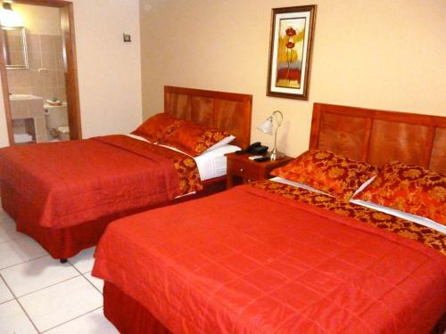 Hotel Hostal Green Frog