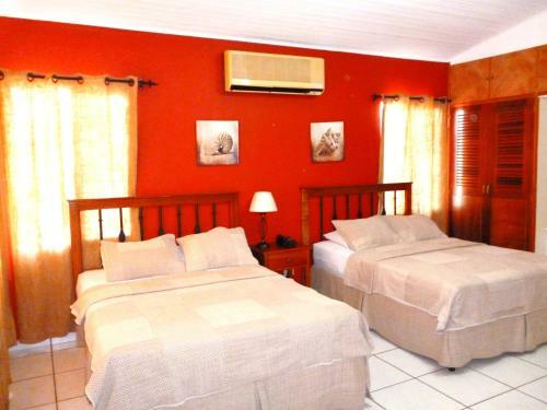 Hotel Hostal Green Frog