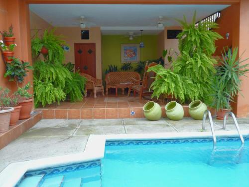 Hotel Hostal Green Frog