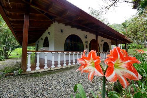 Hotel Rio Perlas