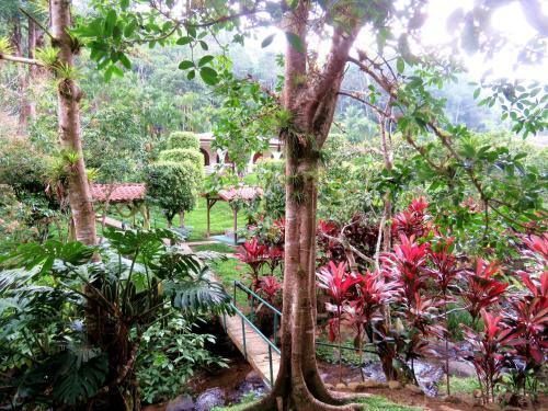 Hotel Rio Perlas