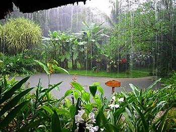 Esquinas Rainforest Lodge