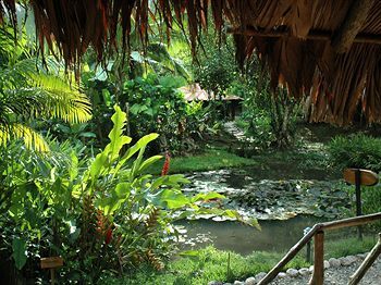 Esquinas Rainforest Lodge