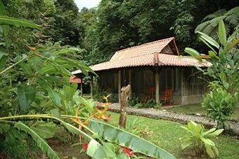 Esquinas Rainforest Lodge