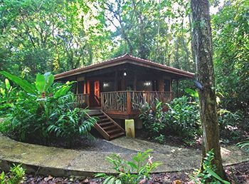 Hotel Playa Nicuesa Rainforest Lodge