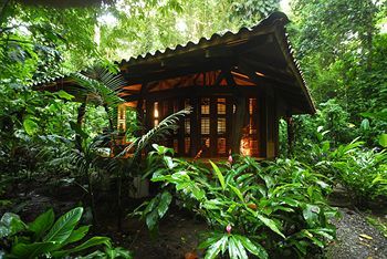 Hotel Playa Nicuesa Rainforest Lodge