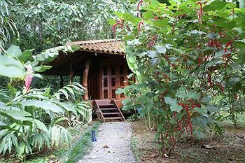 Hotel Playa Nicuesa Rainforest Lodge