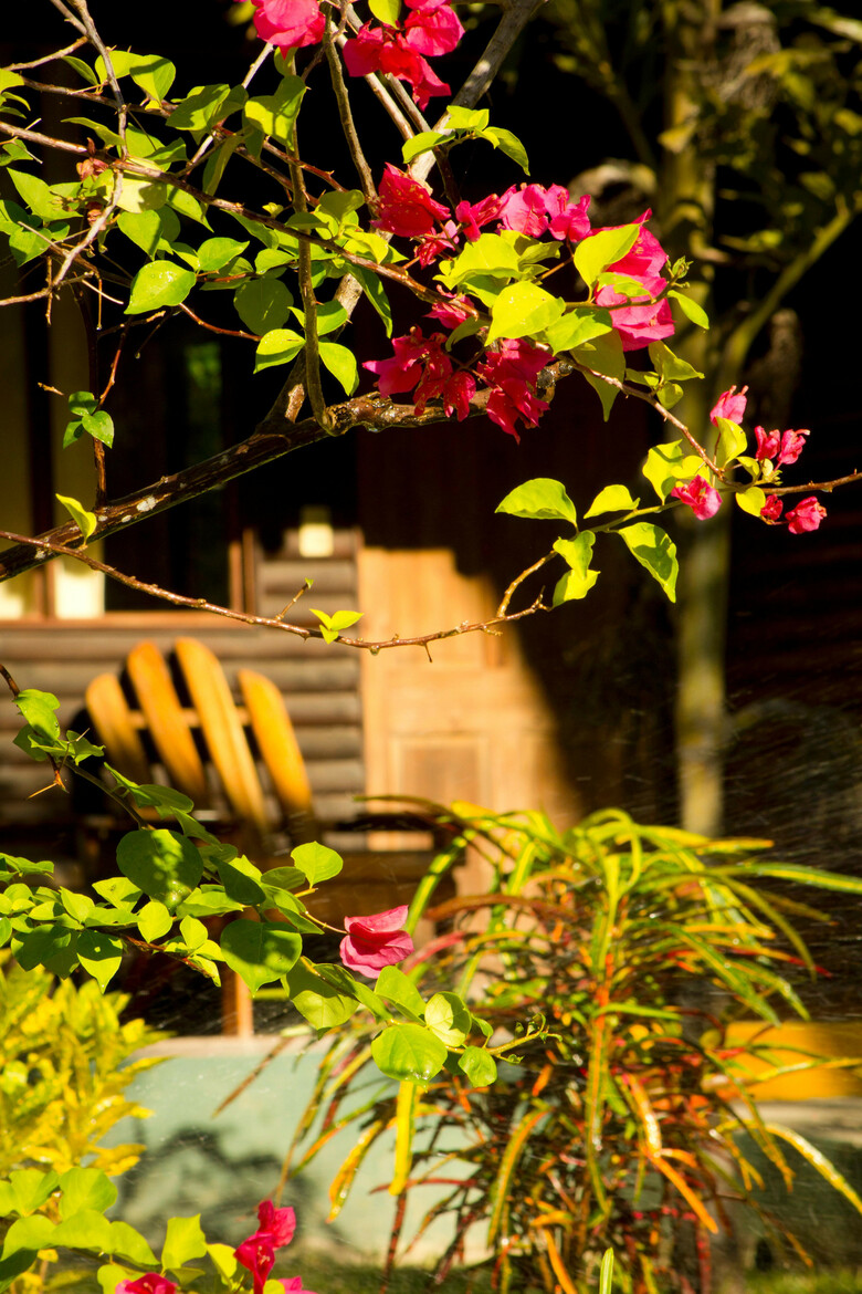 Hotel Ca�on De La Vieja Lodge