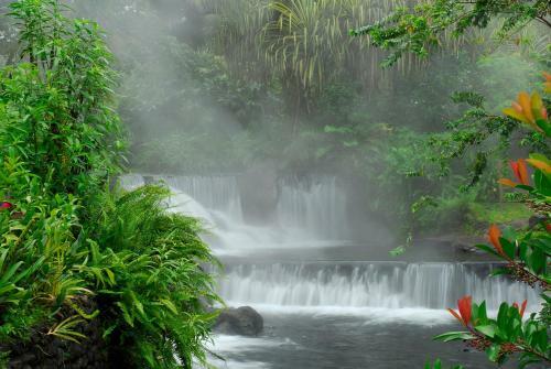 Lodge Cabinas Faro Arenal