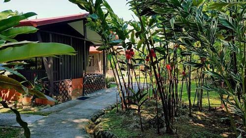 Lodge Cabinas Faro Arenal