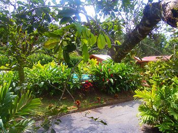 Hotel Heliconias