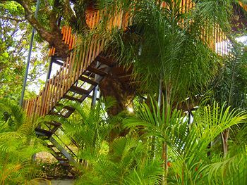 Hotel Heliconias