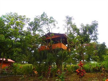 Hotel Heliconias