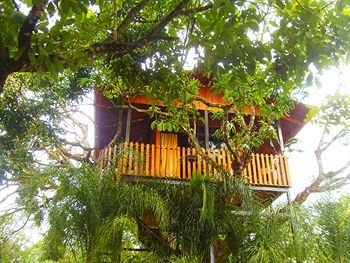 Hotel Heliconias