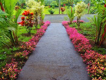 Hotel Heliconias
