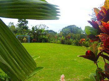 Hotel Heliconias