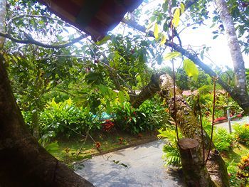Hotel Heliconias