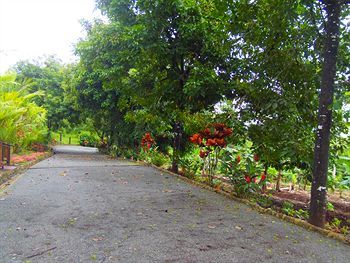 Hotel Heliconias