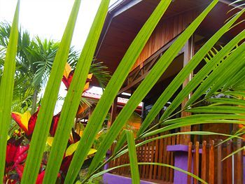 Hotel Heliconias