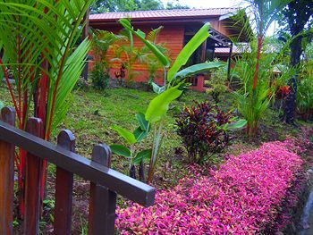 Hotel Heliconias