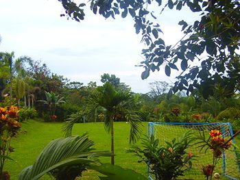 Hotel Heliconias