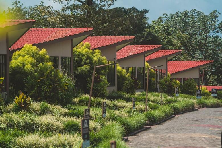Hotel Monta�a De Fuego